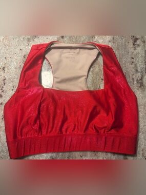 Heroine Sport sparkly sports bra